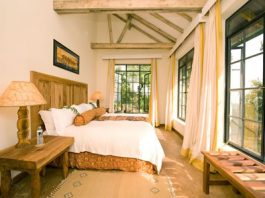 Bwindi Lodges in Uganda