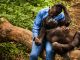 Senkwekwe Gorilla Orphanage Sekenkwe Gorilla Center