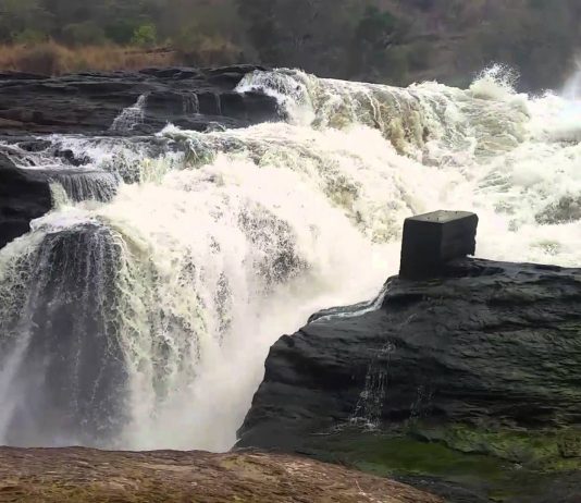 Top Reasons To Visit Uganda in Africa Uganda Safaris