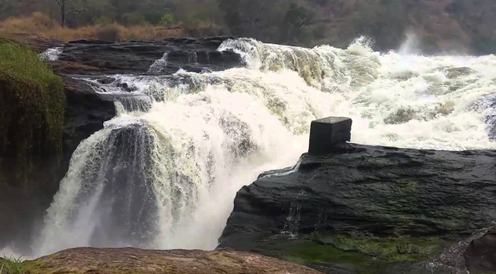 Top Reasons To Visit Uganda in Africa Uganda Safaris