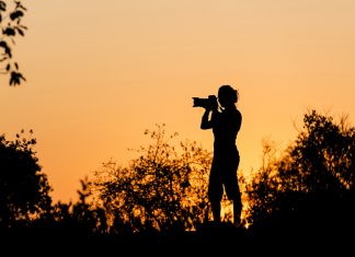 Photography Tips & Information for Your African Safari Holiday photography tips and information
