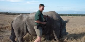 Technology Lab Focused on Wildlife Protection at Ol Pejeta Conservancy