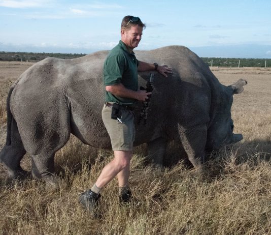 Technology Lab Focused on Wildlife Protection at Ol Pejeta Conservancy