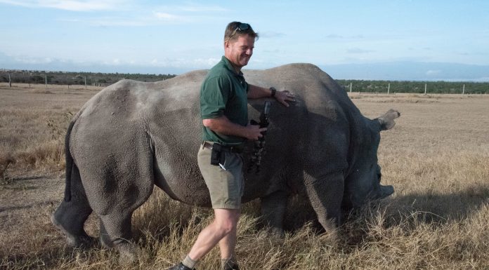 Technology Lab Focused on Wildlife Protection at Ol Pejeta Conservancy