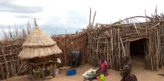 Karamajong homesteads