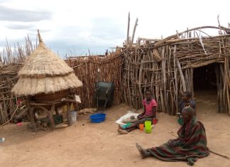 Karamajong homesteads