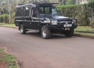 Luxury Safari in East Africa