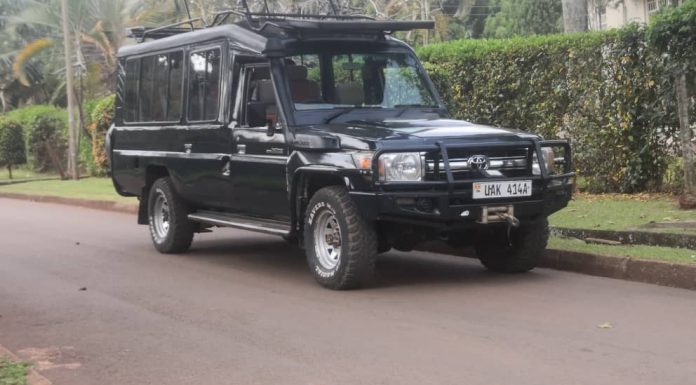 Luxury Safari in East Africa
